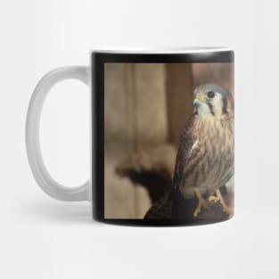 American Kestrel Mug